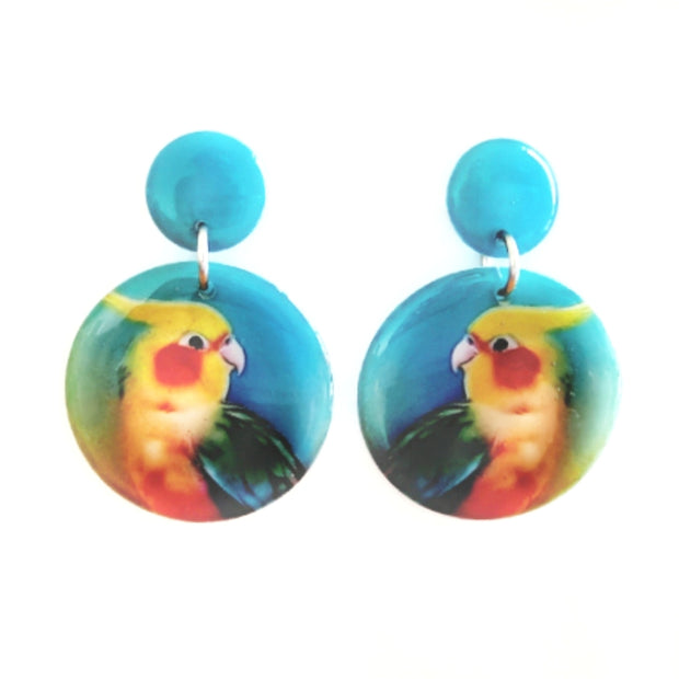 Teal Yellow Cockatiel Stud Drop Earrings | Circles
