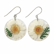 Real Flowers Resin Circle Drop Earrings | White Daisy
