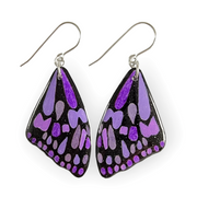 Blue Tiger Butterfly Wing Earrings |Purple | CHOOSE COLOUR