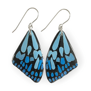 Blue Tiger Butterfly Wing Earrings | Turquoise Blue | CHOOSE COLOUR COMBO