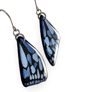 Blue Tiger Butterfly Wing Earrings | Blue