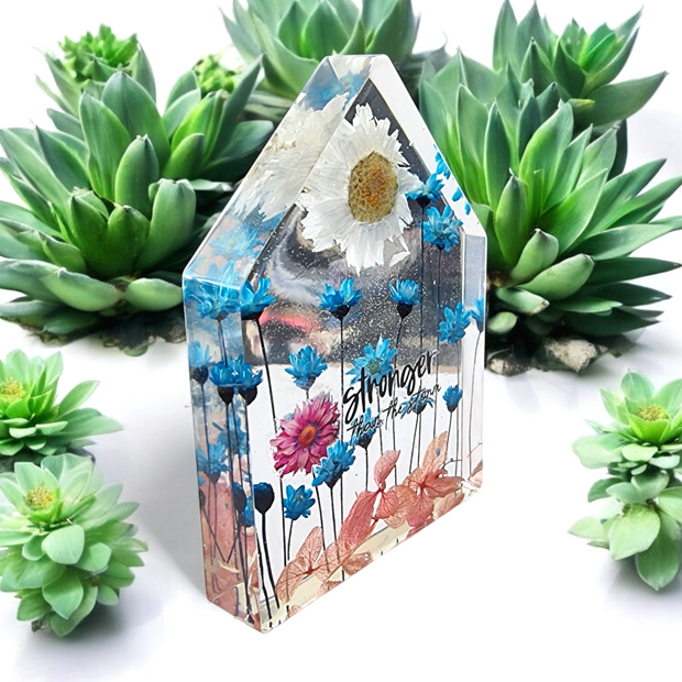 Inspirational Miniature Garden house | Blue Pink