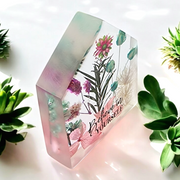 Inspirational Miniature Garden house | Teal Pink